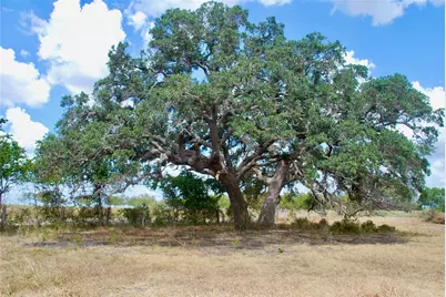 Tract 4 County Road 366, Shiner, TX 77984 - Photo 2