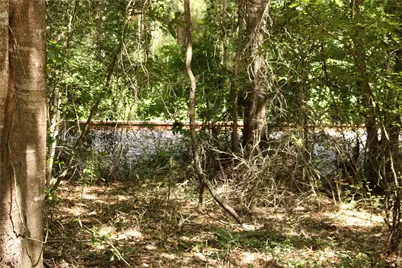 Tbd 10th Street, Shepherd, TX 77371 - Photo 6