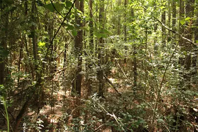 Tbd 10th Street, Shepherd, TX 77371 - Photo 4