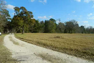 3434 Corolla Rd, Magnolia, TX 77354 - Photo 26