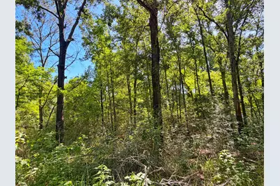 Tbd I-45 West Feeder Rd, Centerville, TX 75833 - Photo 2