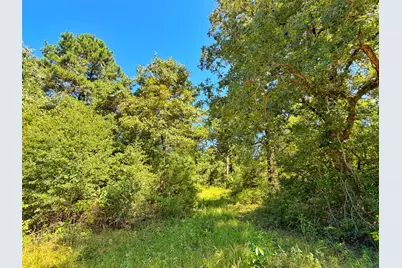 Tbd I-45 West Feeder Rd, Centerville, TX 75833 - Photo 14