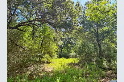 Tbd I-45 West Feeder Rd, Centerville, TX 75833 - Photo 12