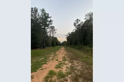 983 County Road #4350, Woodville, TX 75979 - Photo 12