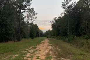 983 County Rd, Woodville, TX 75979 - Photo 12