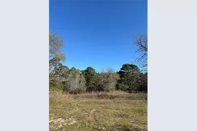 373 Johnson Road, Huntsville, TX 77320 - Photo 6