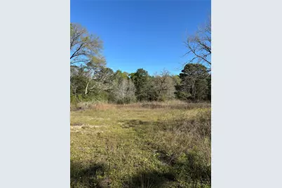 373 Johnson Road, Huntsville, TX 77320 - Photo 4