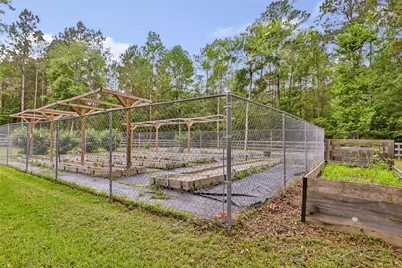 229 Sundog Road, Huntsville, TX 77340 - Photo 44