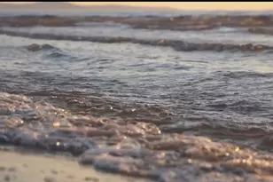 13719 Mutiny Ln, Galveston, TX 77554 - Photo 40