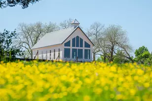 10267 Bluegill Crst Dr, Willis, TX 77318 - Photo 28