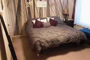 10113 Spring Pl Dr, Houston, TX 77070 - Photo 6