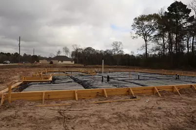 112 Roebuck Lane, New Waverly, TX 77358 - Photo 2