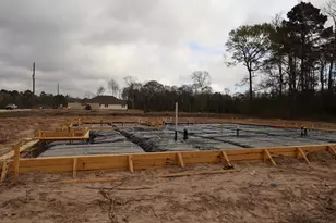 112 Roebuck Ln, New Waverly, TX 77358 - Photo 2