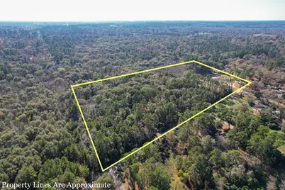 611 Sentinel Oaks, Pinehurst, TX 77362 - Photo 4