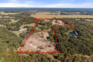 3115 Rains County Rd 2610, Alba, TX 75410 - Photo 48