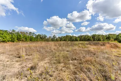 71 Road 5260, Cleveland, TX 77327 - Photo 6