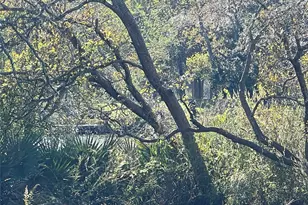 341 Cr 355, Elmaton, TX 77440 - Photo 10