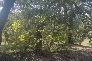 341 Cr 355, Elmaton, TX 77440 - Photo 22