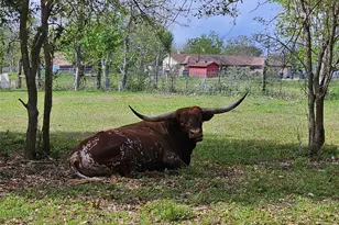 6814 Avenue O, Santa Fe, TX 77510 - Photo 42