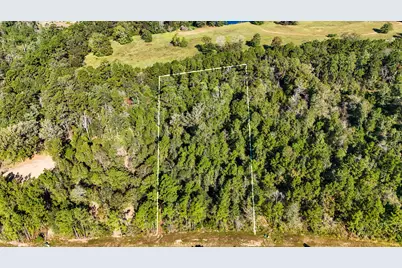 15821 Ridge Rock Road, Willis, TX 77378 - Photo 10