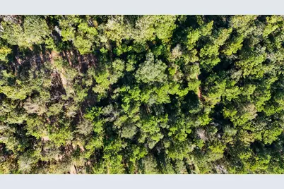 15821 Ridge Rock Road, Willis, TX 77378 - Photo 8