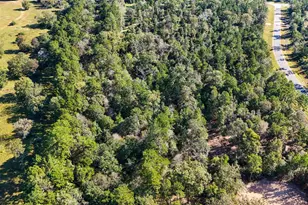 15821 Ridge Rock Rd, Willis, TX 77378 - Photo 12