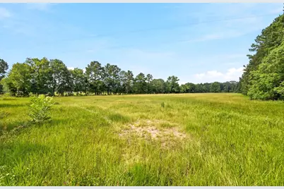 Lot 1 Mount Zion Road, New Waverly, TX 77358 - Photo 16