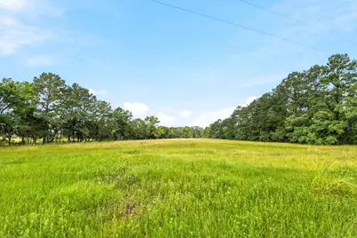 Lot 1 Mount Zion Road, New Waverly, TX 77358 - Photo 10