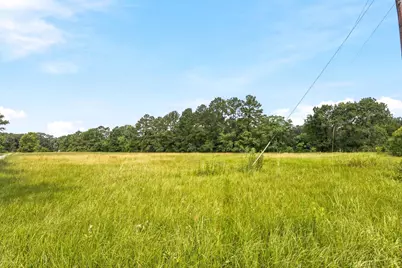 Lot 1 Mount Zion Road, New Waverly, TX 77358 - Photo 4