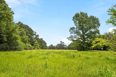 Lot 1 Mount Zion Road, New Waverly, TX 77358 - Photo 14