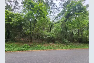 207 Long King, Livingston, TX 77351 - Photo 2