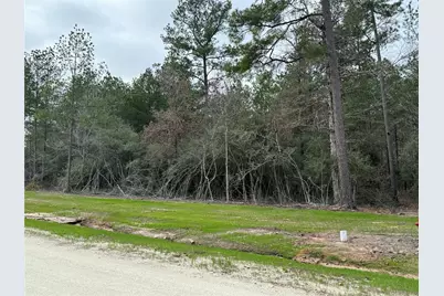 10621 Devotion Road, Willis, TX 77378 - Photo 6