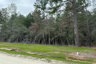 10621 Devotion Rd, Willis, TX 77378 - Photo 6