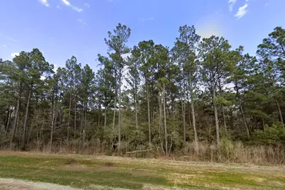 10621 Devotion Road, Willis, TX 77378 - Photo 10