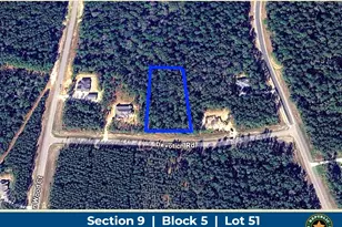 10621 Devotion Rd, Willis, TX 77378 - Photo 1