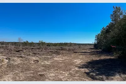 T-2 Cr 2140, Crockett, TX 75835 - Photo 6