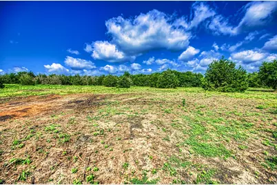 Lot 2 Wonder Hill Road, Chappell Hill, TX 77426 - Photo 6