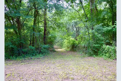 Tbd Sharp Road, Montgomery, TX 77356 - Photo 2