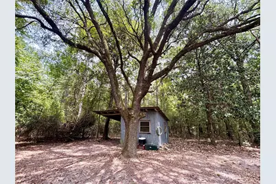 4502 County Road 4520, Warren, TX 77664 - Photo 10