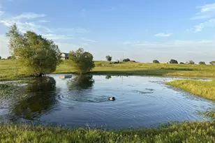 2021-2 County Road 312, Navasota, TX 77868 - Photo 44