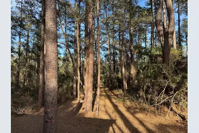 31483 N US Hwy 69, Zavalla, TX 75980 - Photo 26