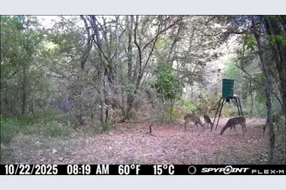 00 Fm 671, Luling, TX 78648 - Photo 22