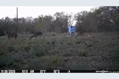 00 Fm 671, Luling, TX 78648 - Photo 26