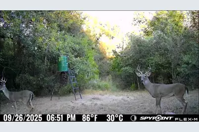 00 Fm 671, Luling, TX 78648 - Photo 24