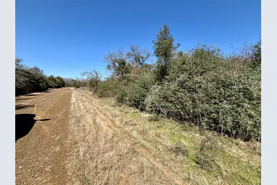 Tbd Sycamore Branch Road, Normangee, TX 77871 - Photo 6