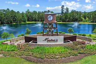 15917 Blass Valley Dr, Conroe, TX 77302 - Photo 4