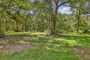14058 Tower Glen Ln, Conroe, TX 77306 - Photo 10