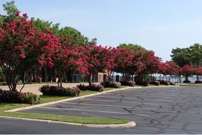 12800 Melville Drive #209-B, Montgomery, TX 77356 - Photo 4