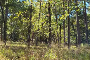 500 S Pine Lake Rd, Montgomery, TX 77316 - Photo 16