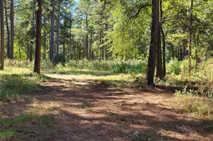 500 S Pine Lake Rd, Montgomery, TX 77316 - Photo 26